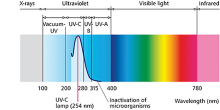 UV Light Spectrum